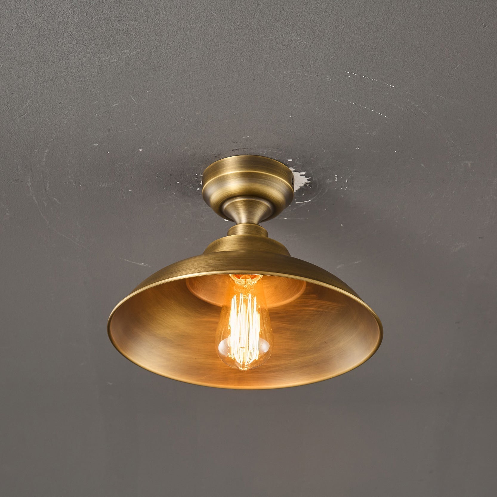 Aldorno Ceiling Lamp in a home office.