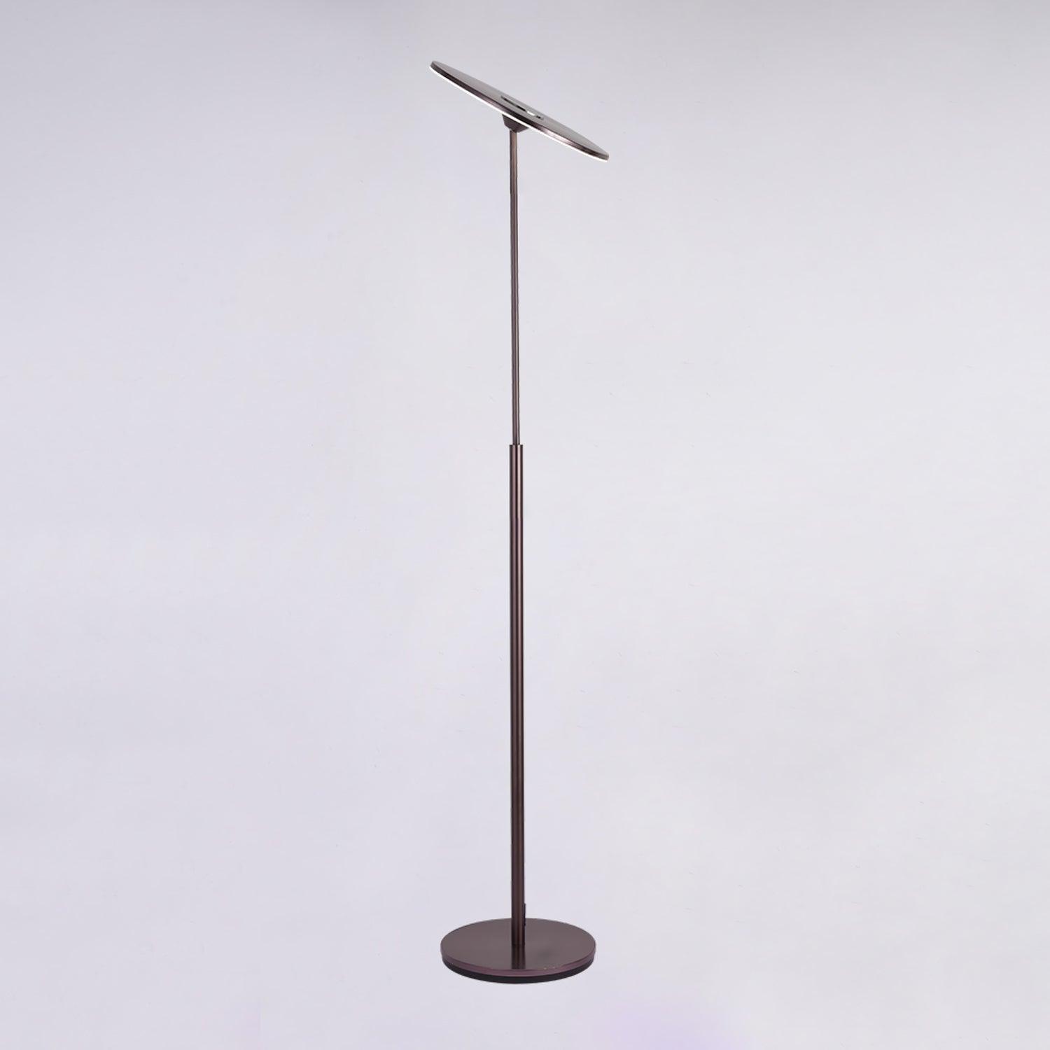 Evynora Minimalist Floor Lamp-Neutral Decor