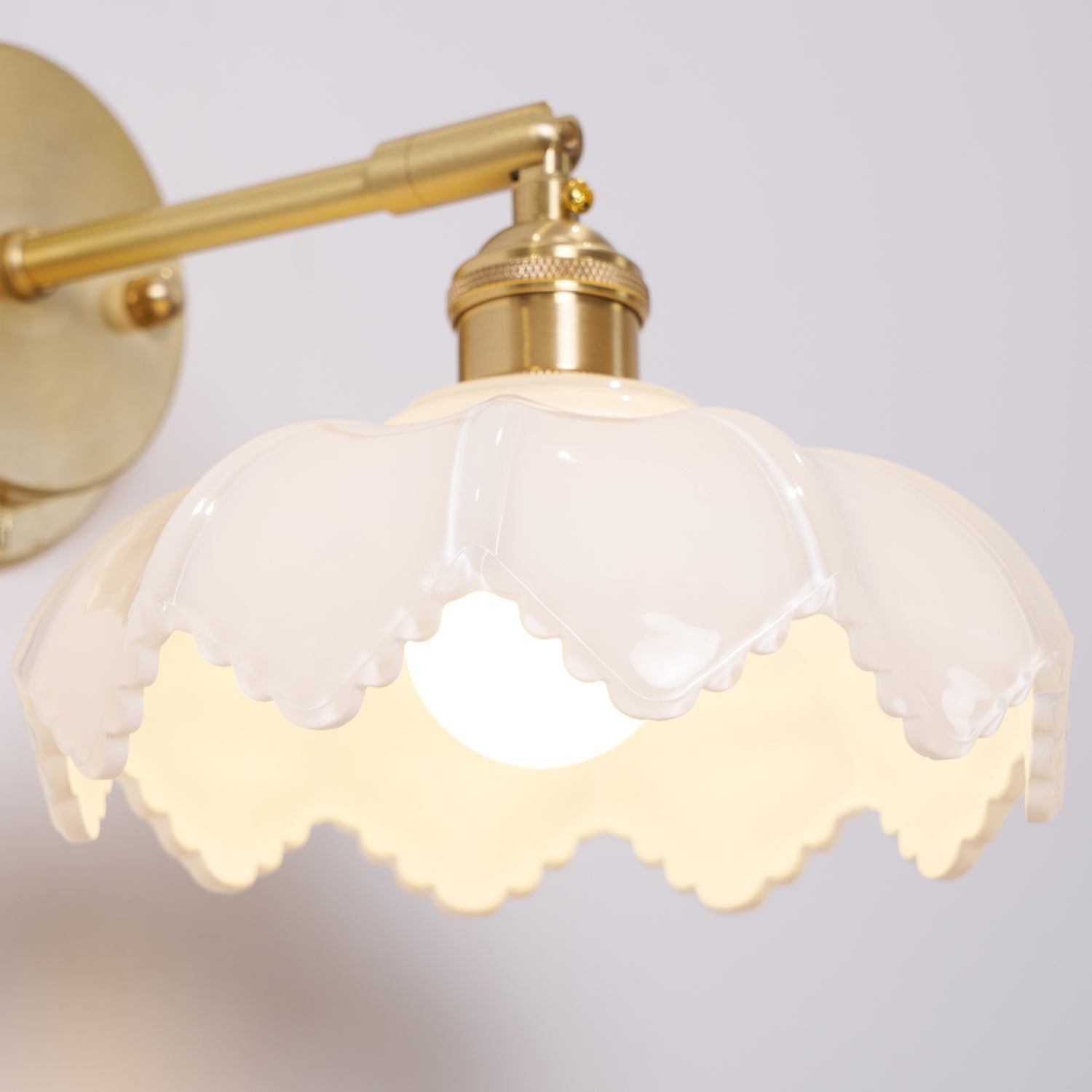 Lotus Nordic Art Rotatable Glass Wall Lamp-Neutral Decor