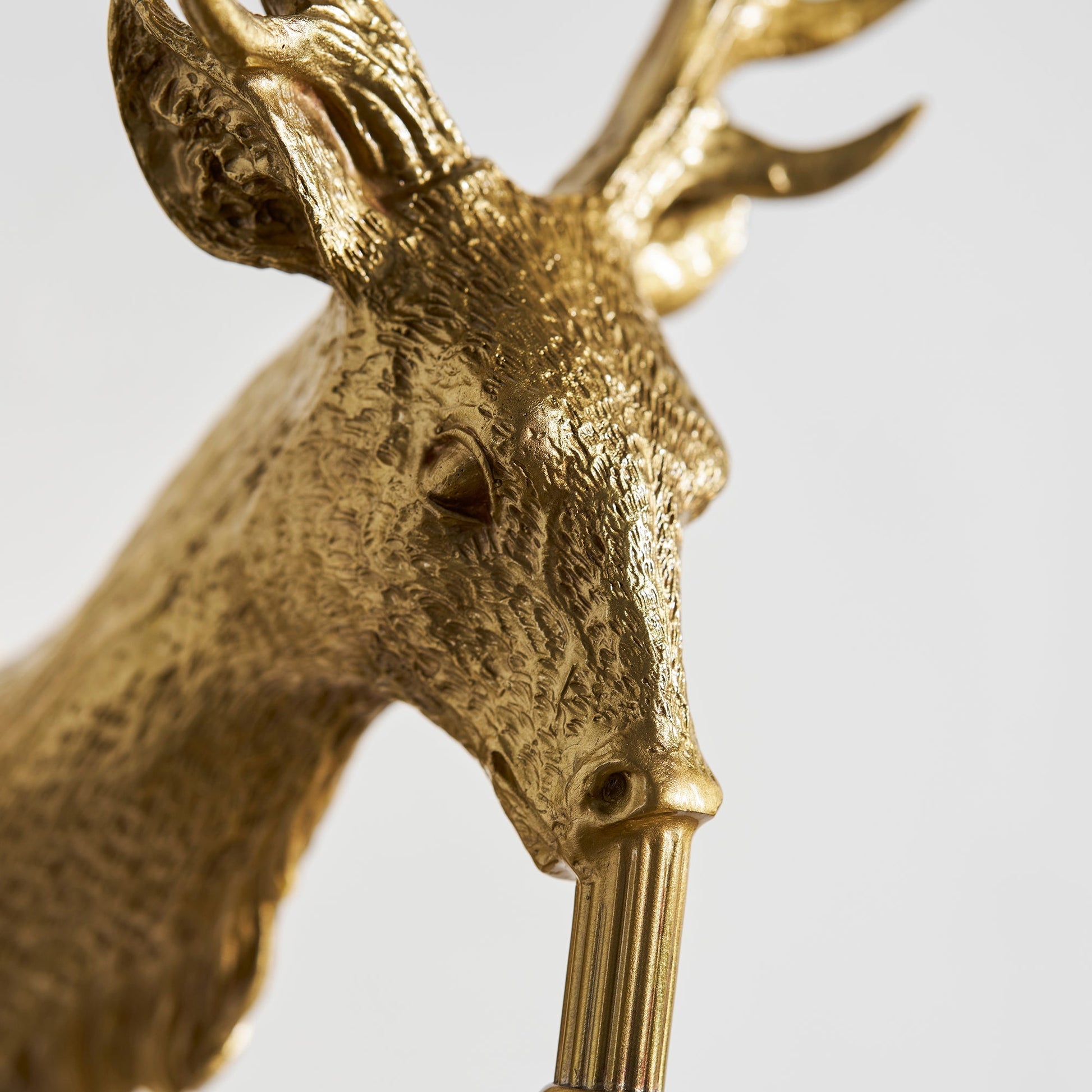 The complete assembly of the Antler Crystal Wall Lamp.