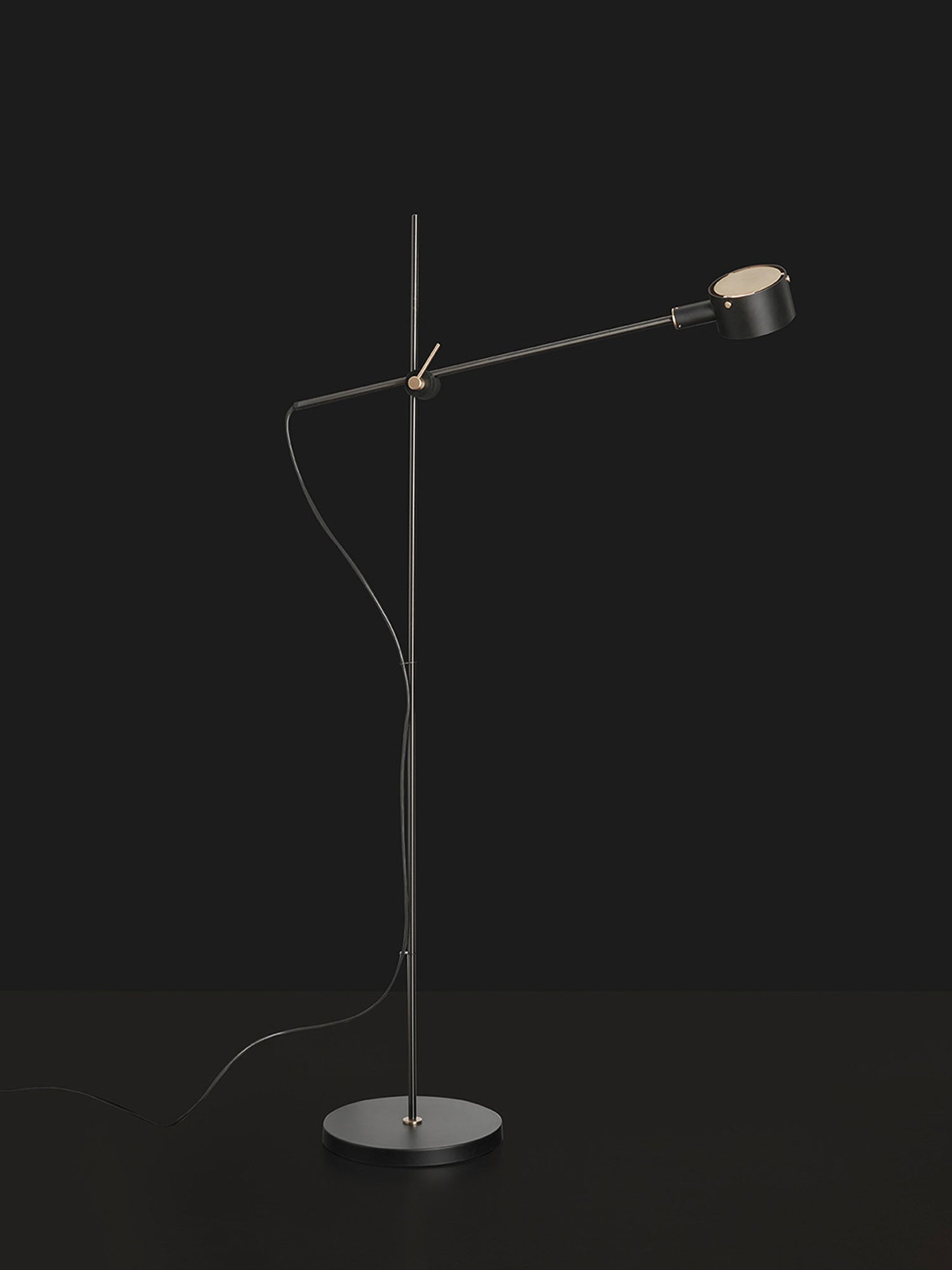 Arclen Adjustable Floor Lamp-Neutral Decor