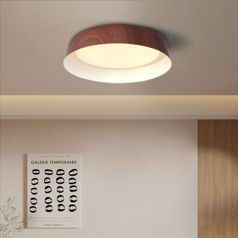 Darien Modern Minimalist Ceiling Light-Neutral Decor