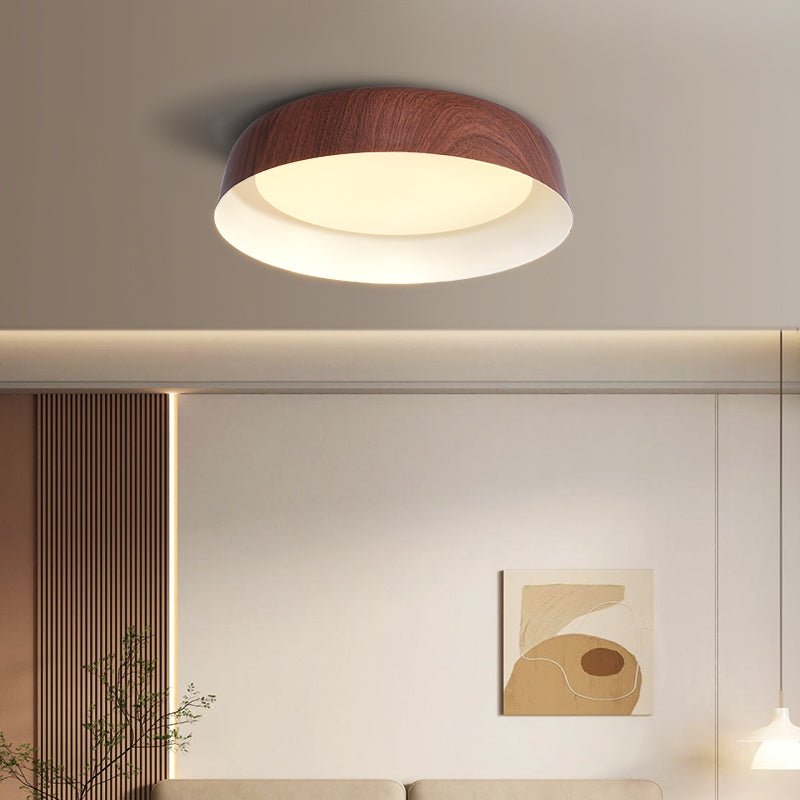 Darien Modern Minimalist Ceiling Light-Neutral Decor