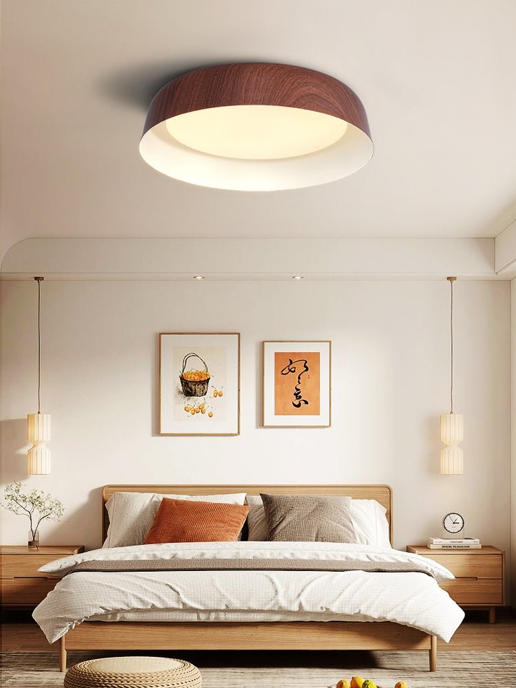 Darien Modern Minimalist Ceiling Light-Neutral Decor