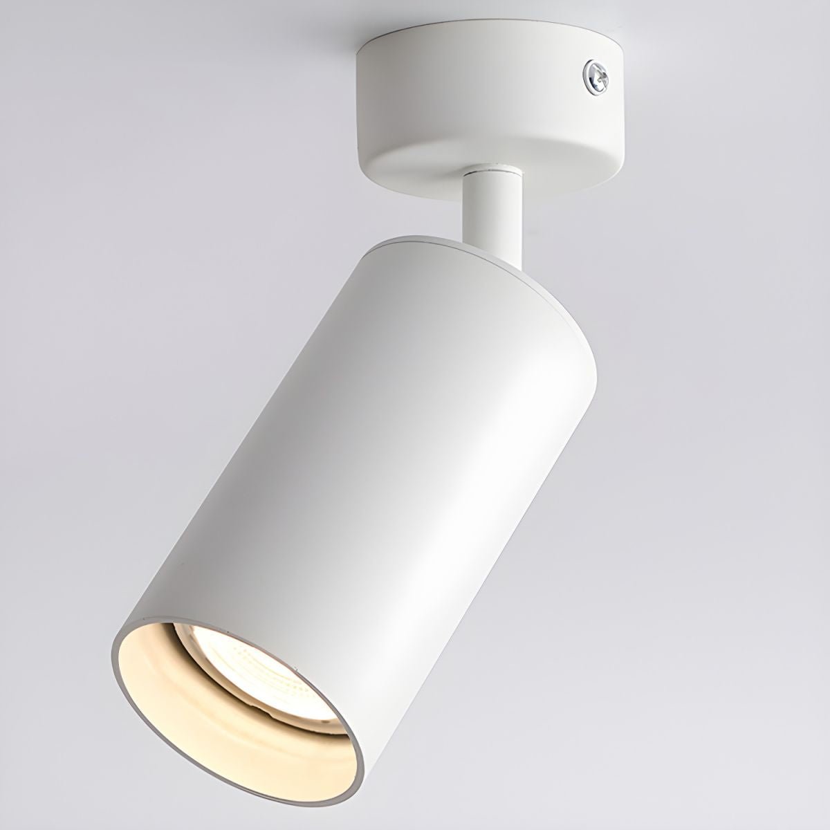 Vosilel Modern Minimalist Spotlight Ceiling lamp-Neutral Decor