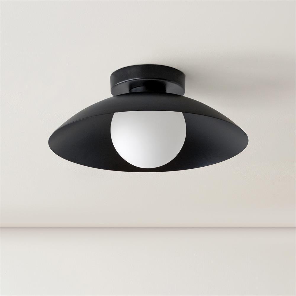 Ceiling Light in Metal Canopy and Glass with Color Options