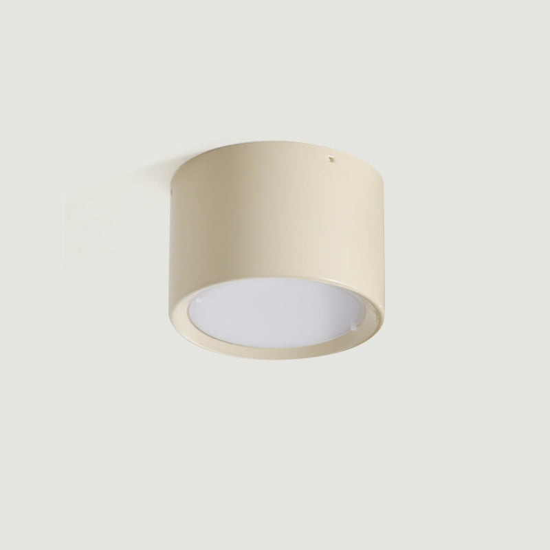 Asher Ceiling Light
