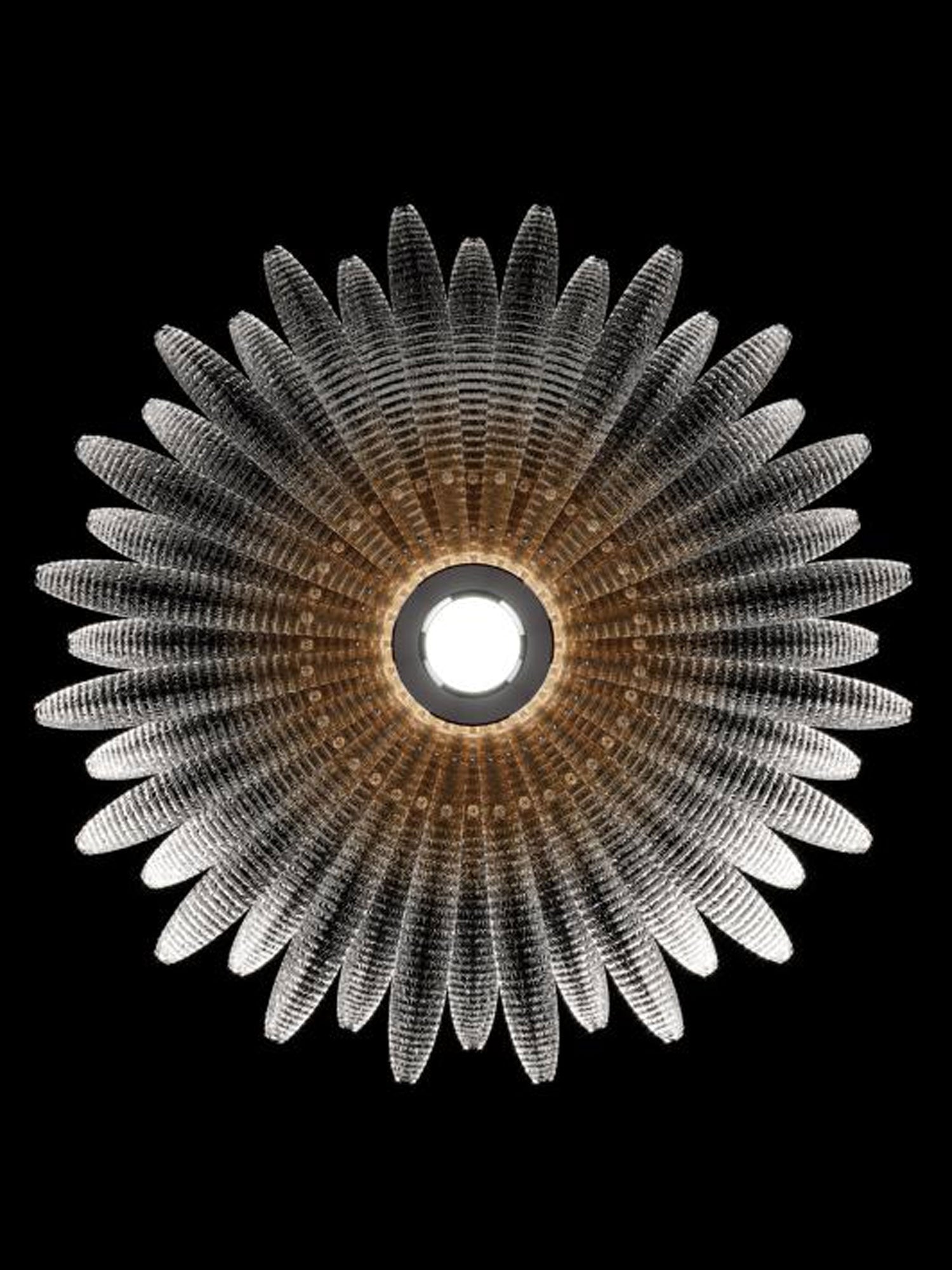 Aurelia Glass Petal Ceiling Light-Neutral Decor