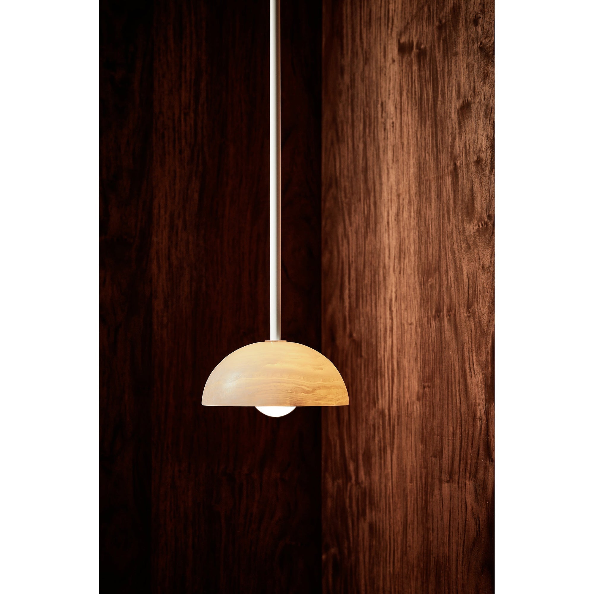 Eronex Modern Minimalist Elegance Brass Glass Pendant Lamp-Neutral Decor