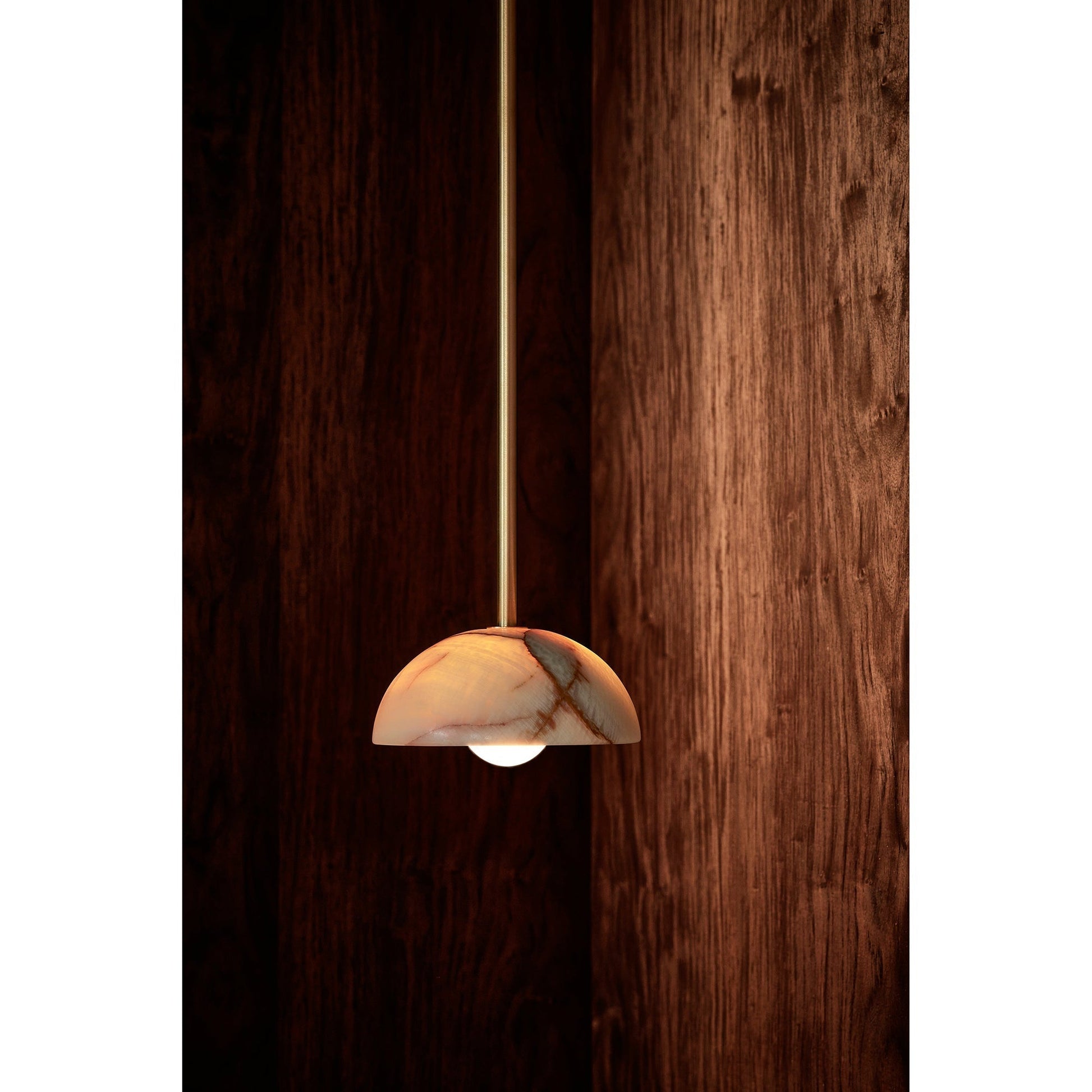 Eronex Modern Minimalist Elegance Brass Glass Pendant Lamp-Neutral Decor