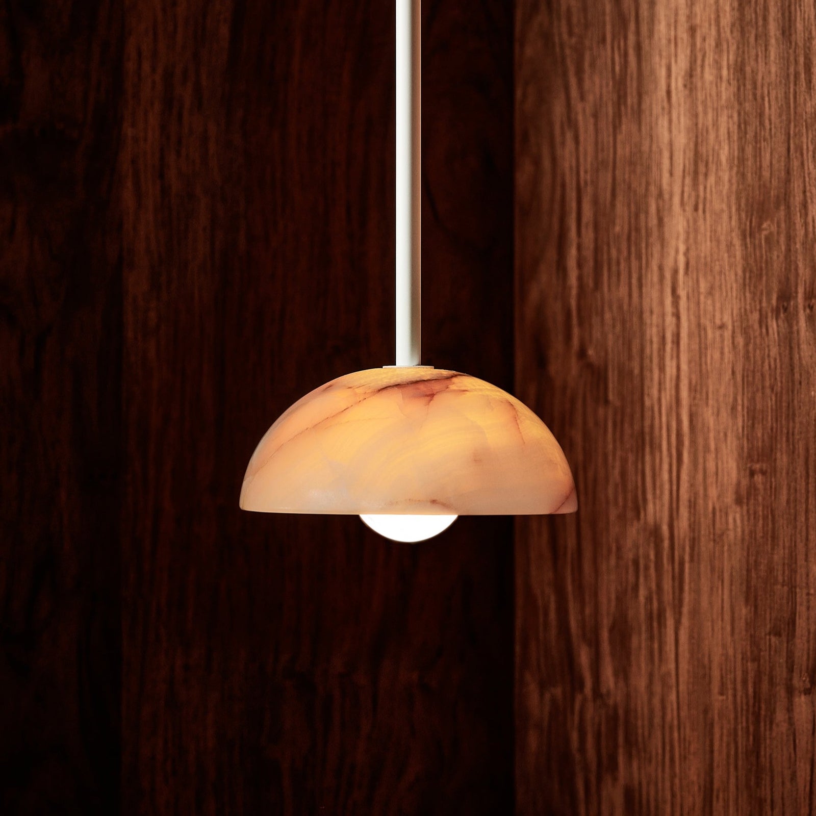 Eronex Modern Minimalist Elegance Brass Glass Pendant Lamp-Neutral Decor