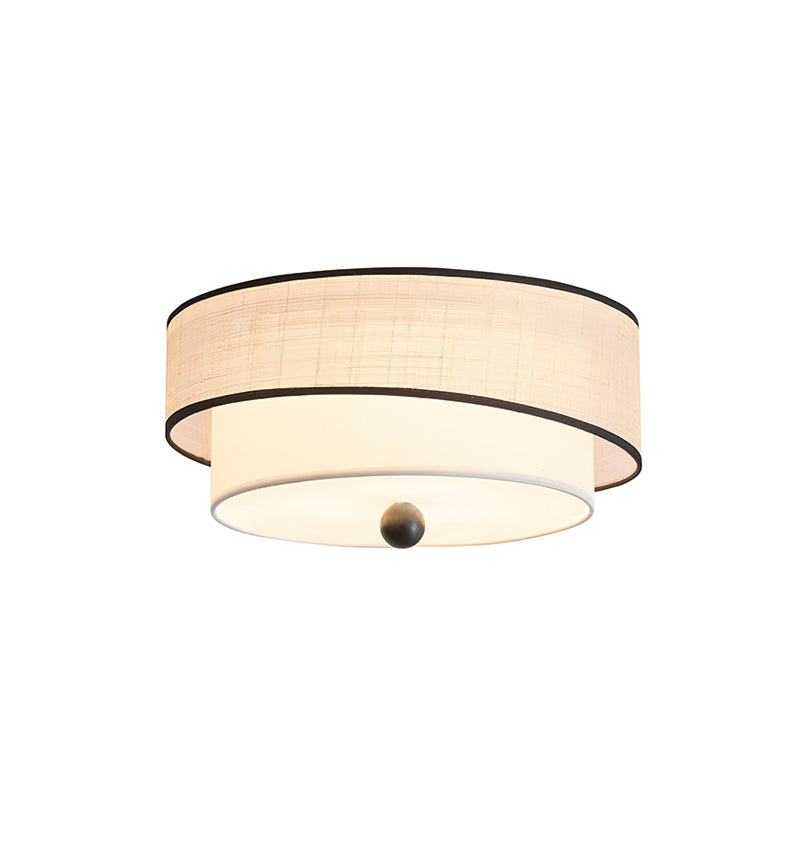 Axis Ceiling Light