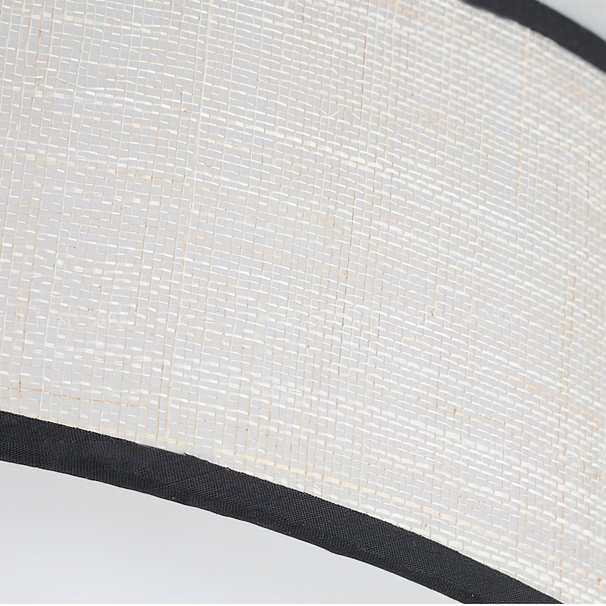 Axis Ceiling Light