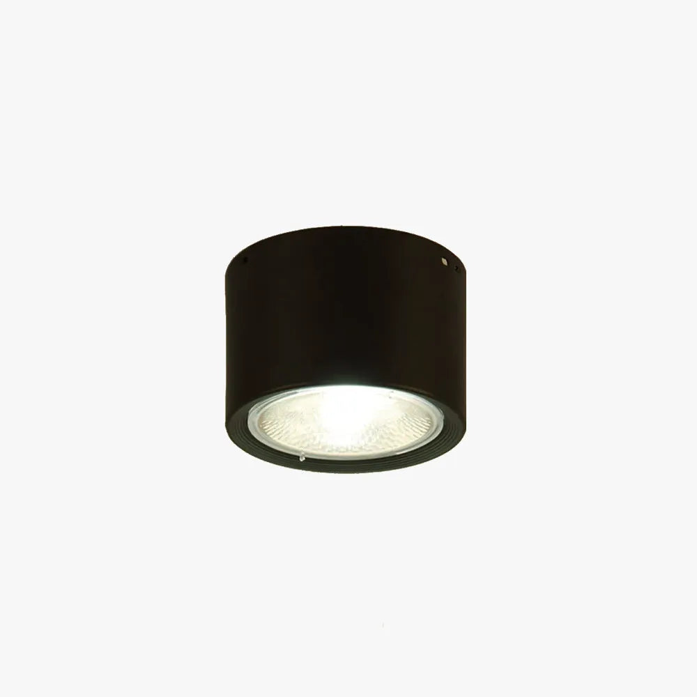 Arisha Modern Round Flush Mount Ceiling Light, Wood/Black, Living Room - Neutral Decor