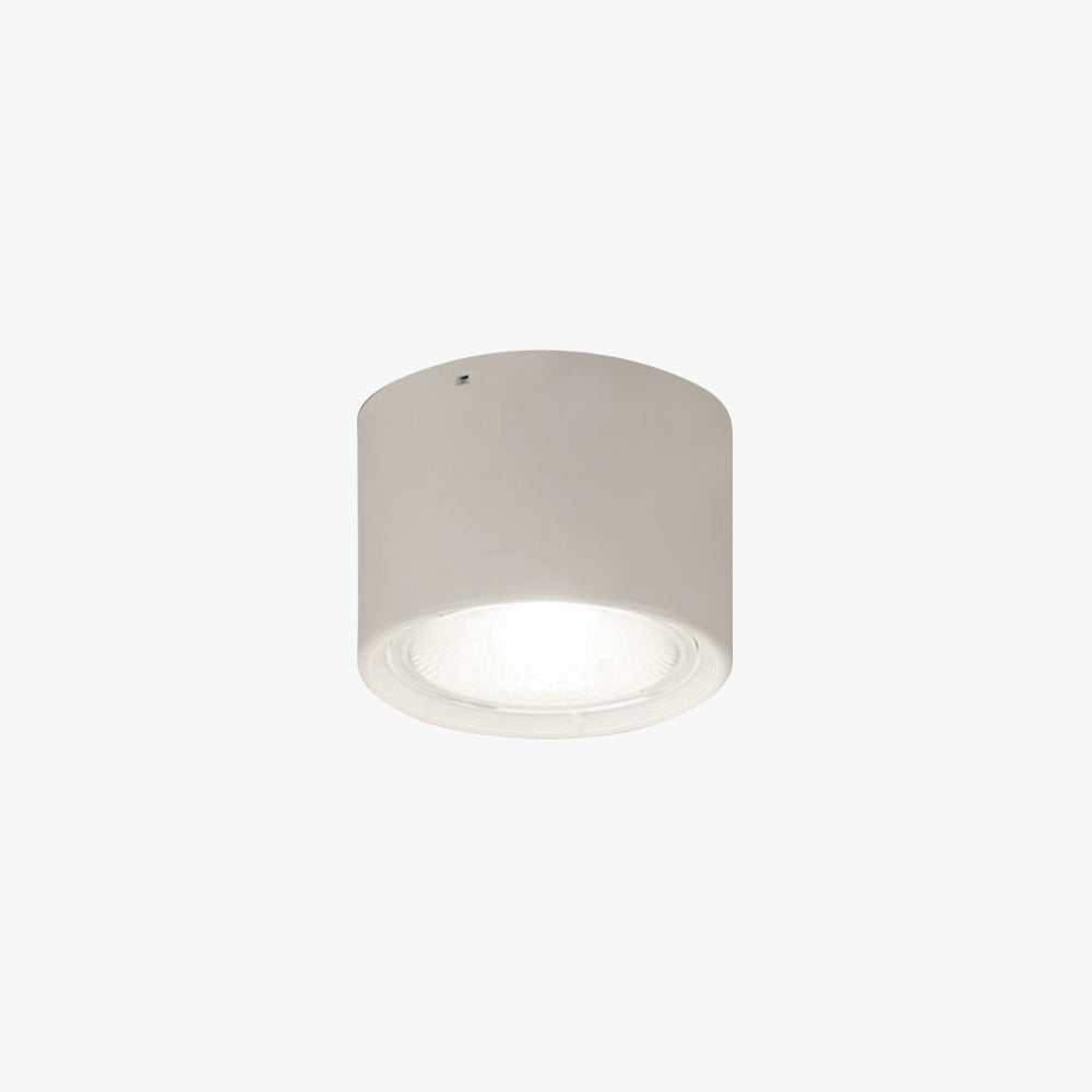 Arisha Modern Round Flush Mount Ceiling Light, Wood/Black, Living Room - Neutral Decor
