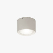 Arisha Modern Round Flush Mount Ceiling Light, Wood/Black, Living Room - Neutral Decor