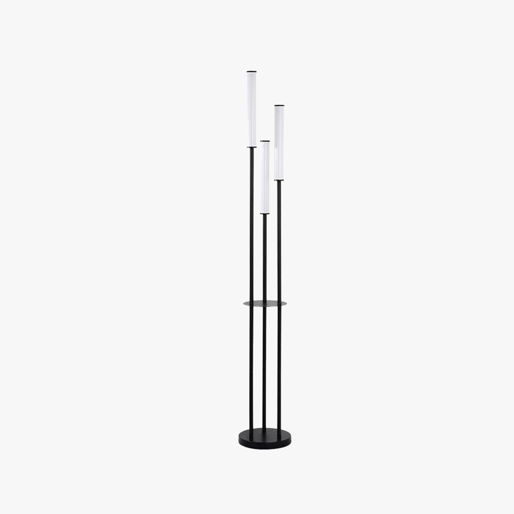 Eryn Modern 3 head Black Metal Arcylic Floor Lamp - Neutral Decor