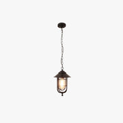 Ray Retro Lantern Metal Pendant Light, Black/Bronze - Neutral Decor