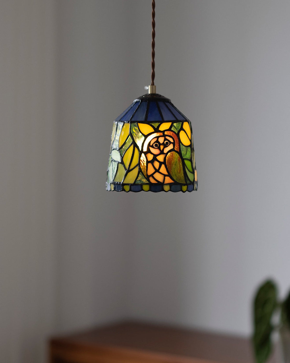 Eirelia Glass Pendant Light