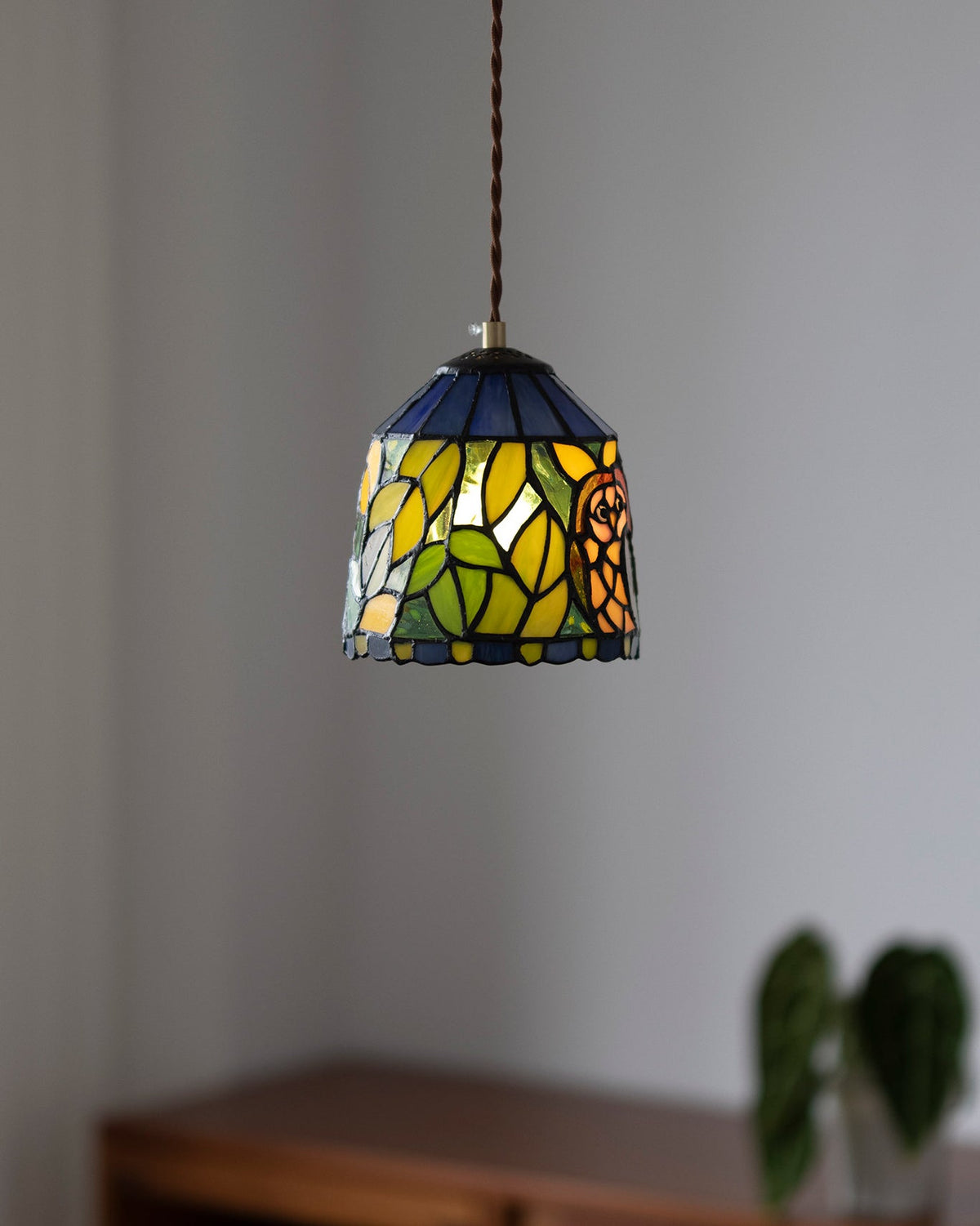 Eirelia Glass Pendant Light