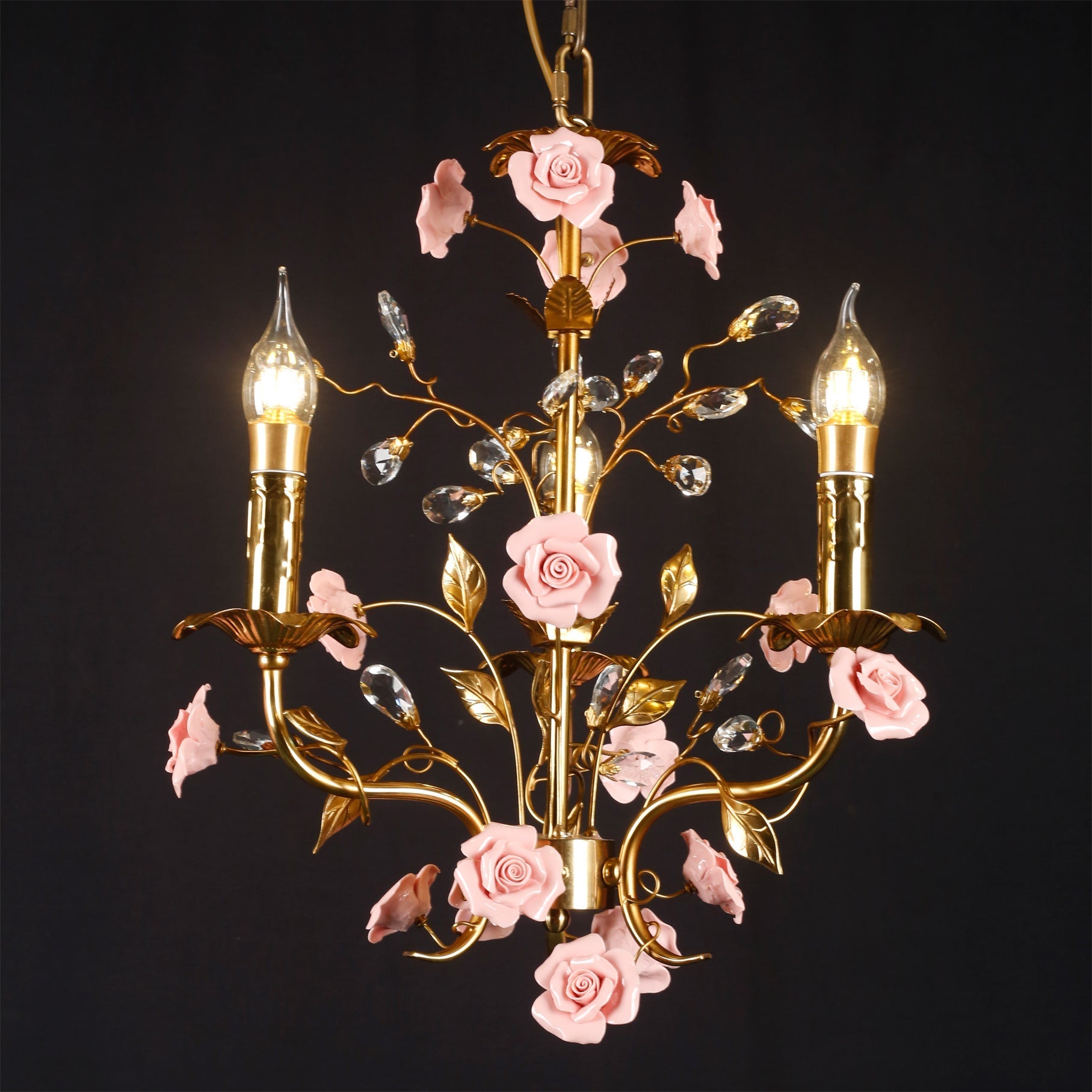 Another angle of the illuminated Bassano Chandelier.