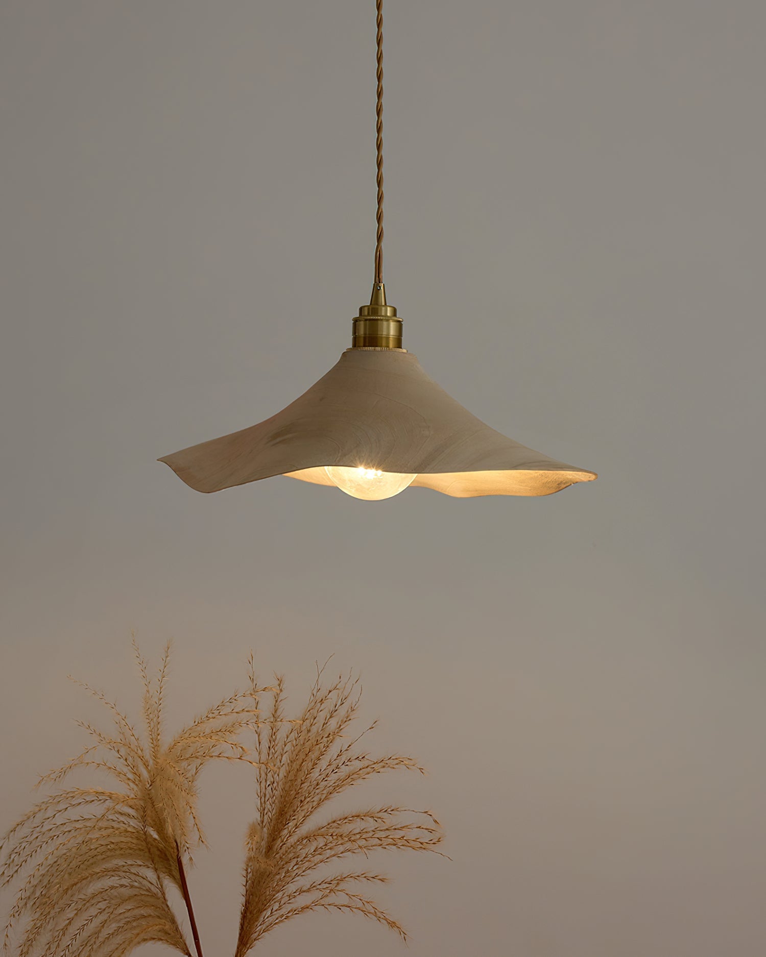 Side profile of the Baxter Pendant Light against a neutral wall.