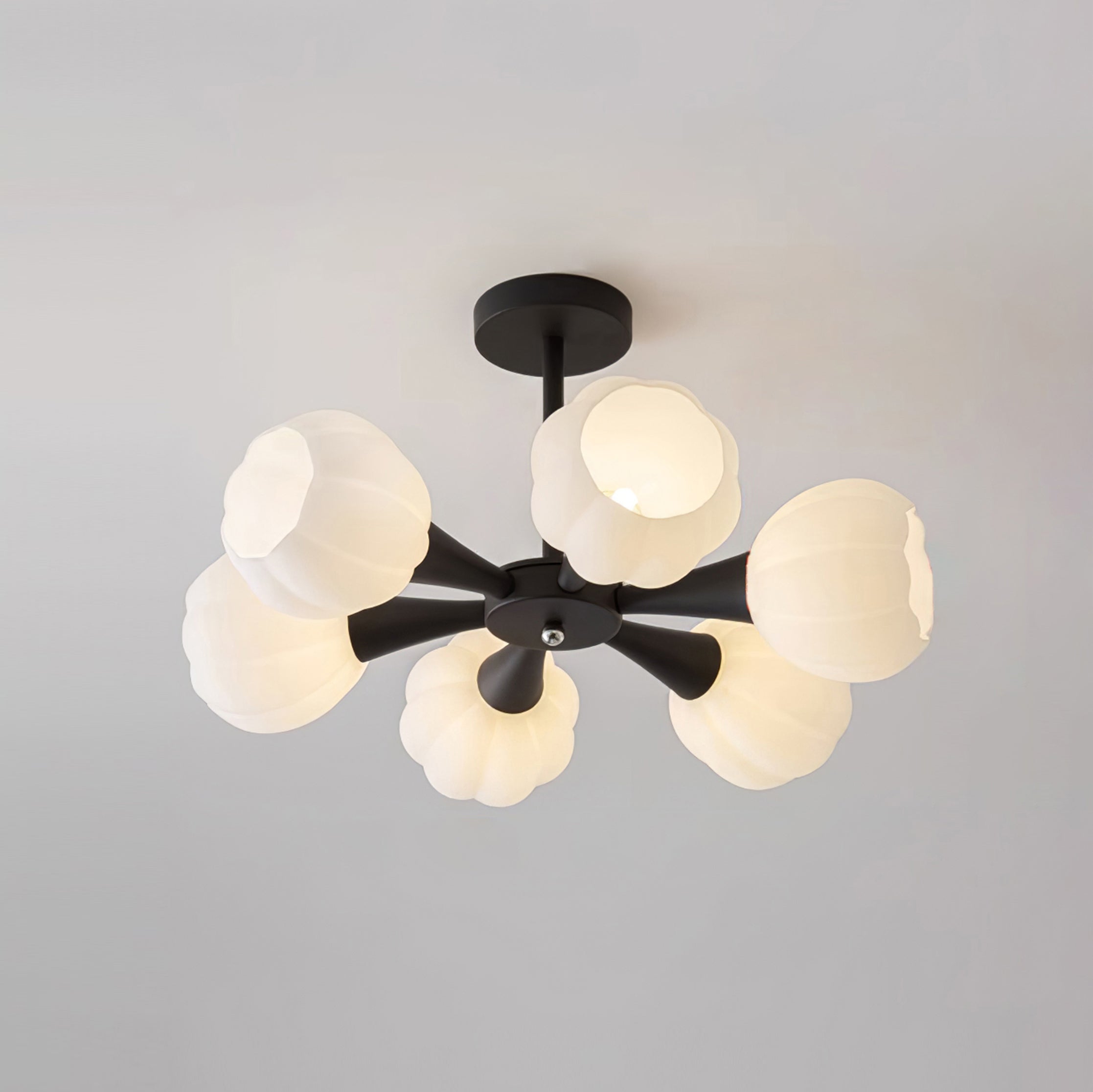 Beth Chandelier