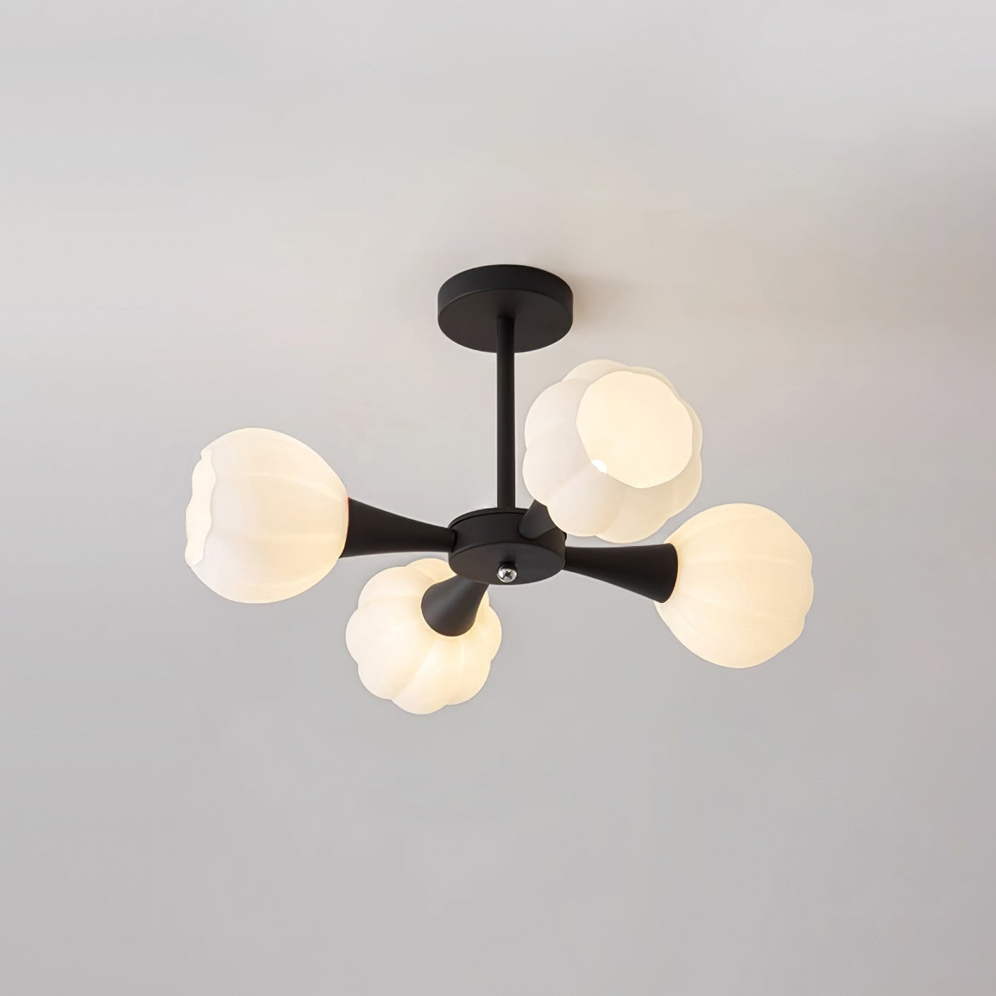 Beth Chandelier