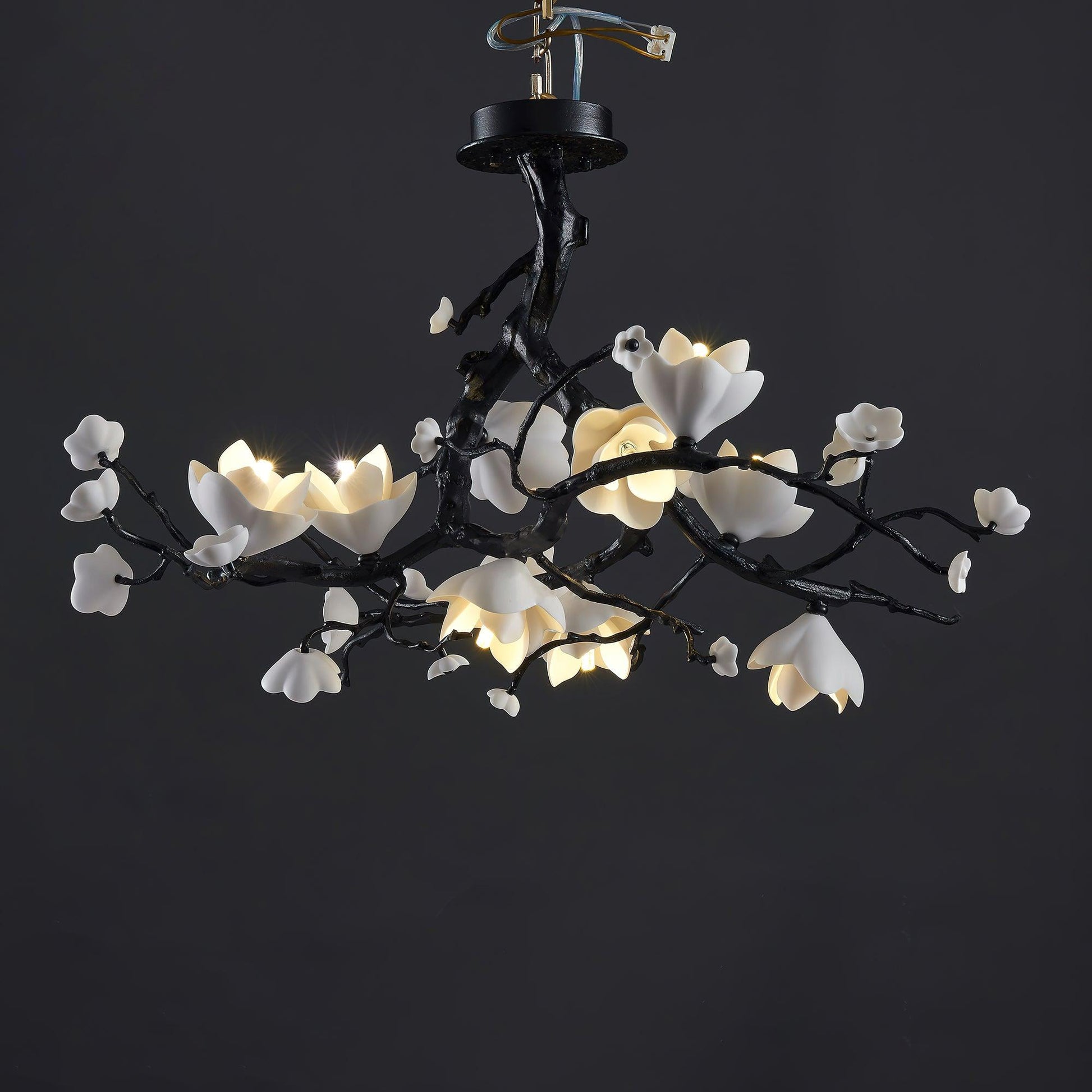 Ciro Pendant Lamp Black Copper Tree Wild Fruits-Neutral Decor