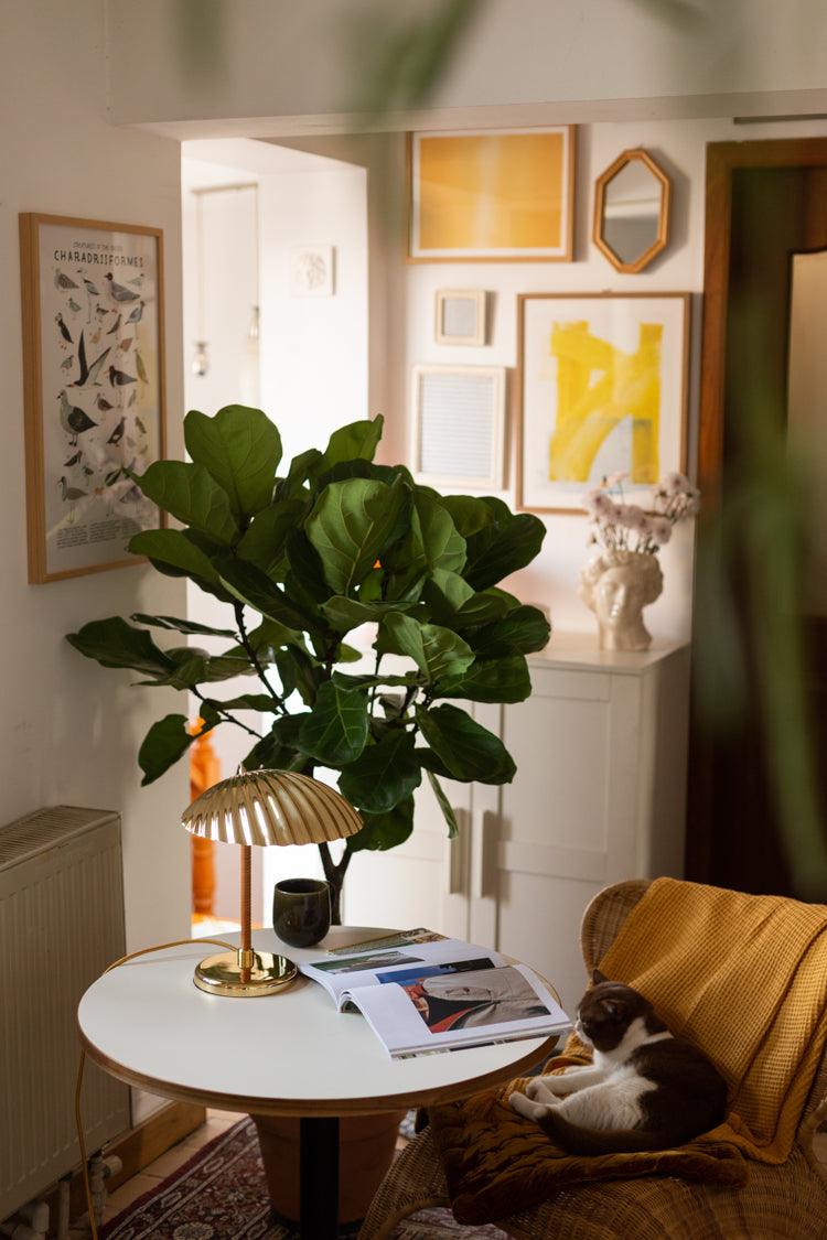 Zorare Brass Glam Table Lamp-Neutral Decor