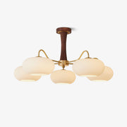 Candy Brass Wooden Glass Persimmon Chandelier