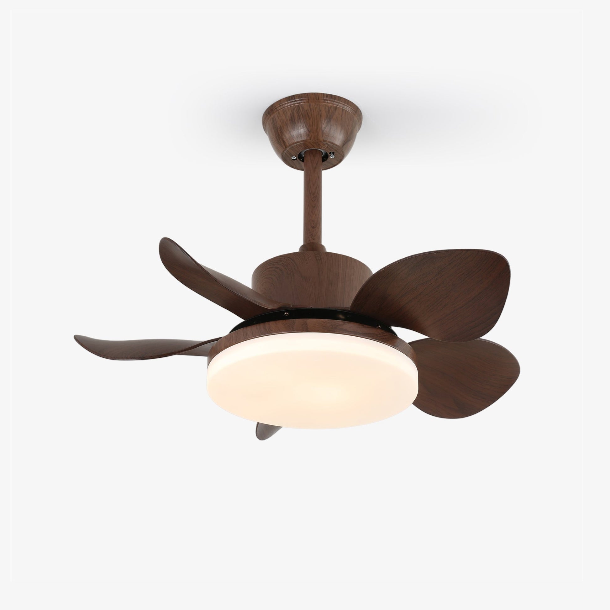 Alenya Wood Ceiling Fan Light-Neutral Decor