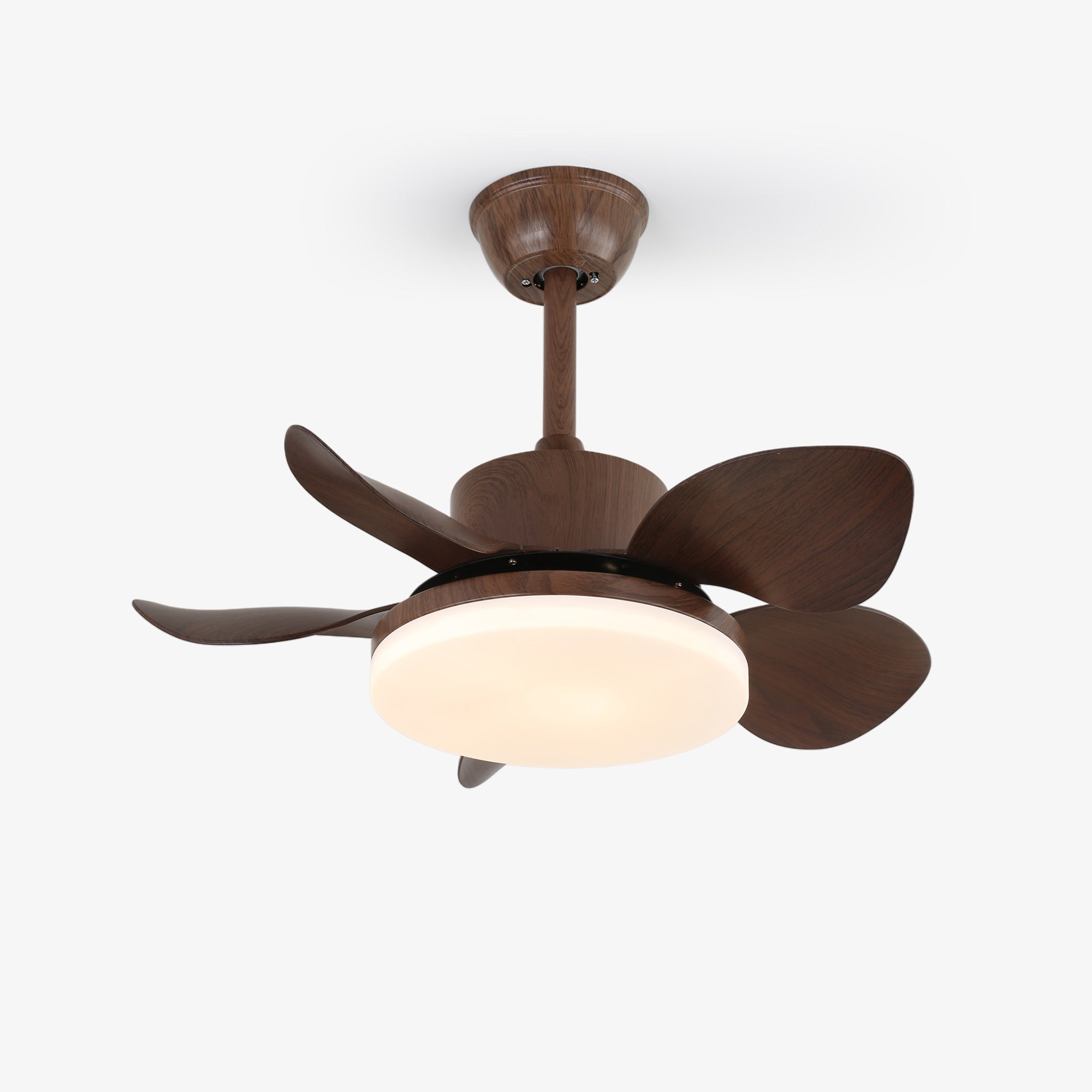Alenya Wood Ceiling Fan Light-Neutral Decor