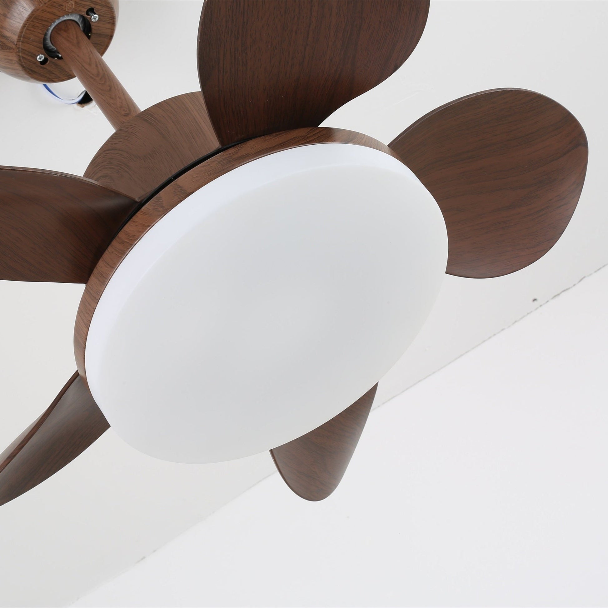 Alenya Wood Ceiling Fan Light-Neutral Decor