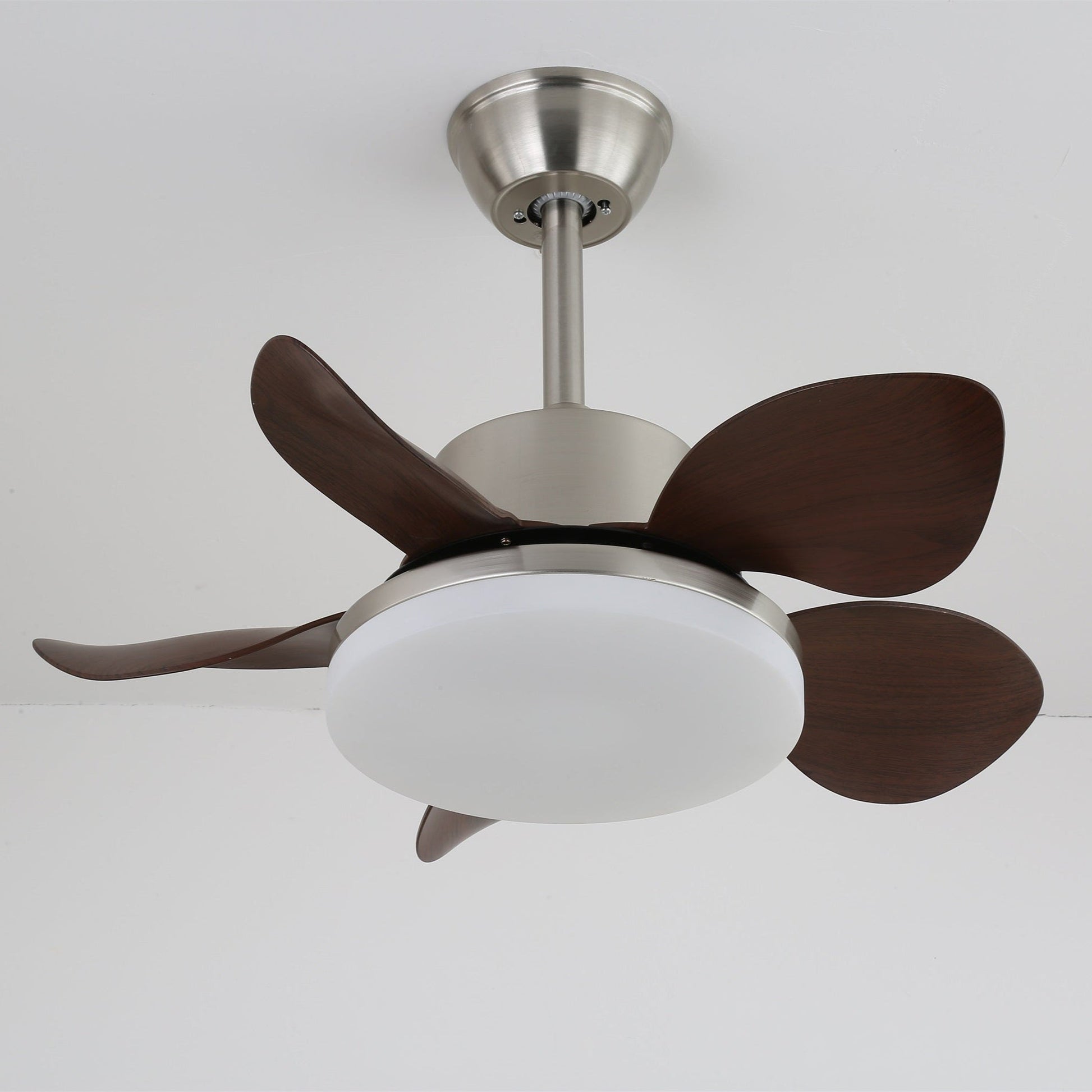 Alenya Wood Ceiling Fan Light-Neutral Decor