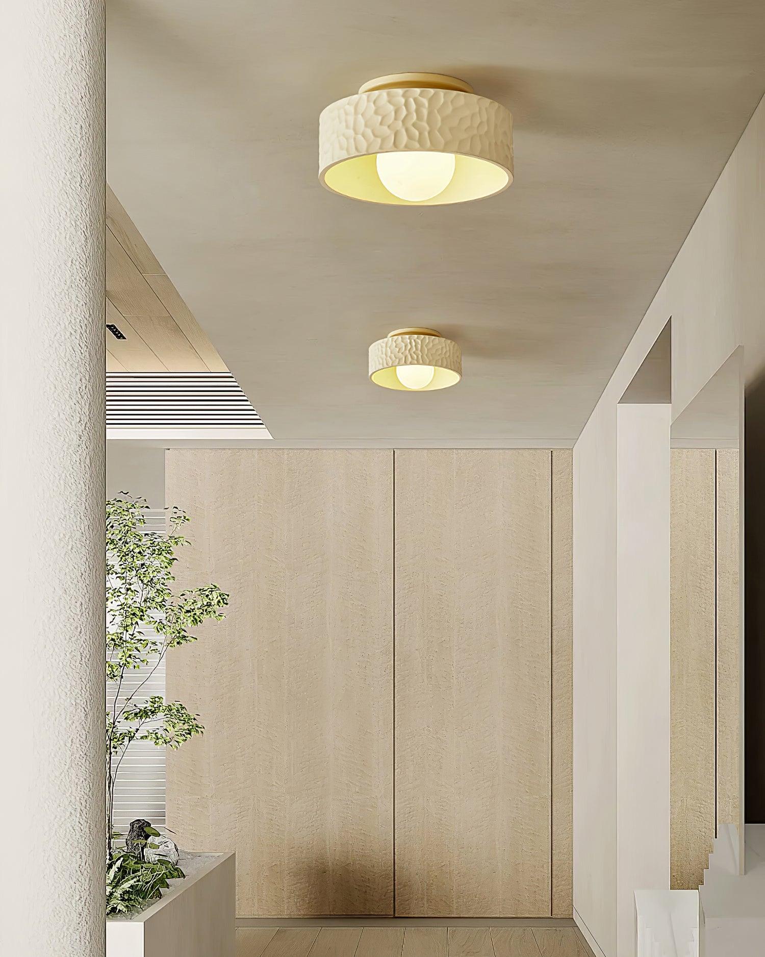Zevius Ceiling Lamp