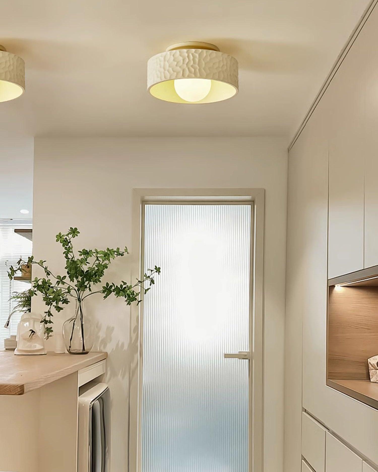 Zevius Ceiling Lamp