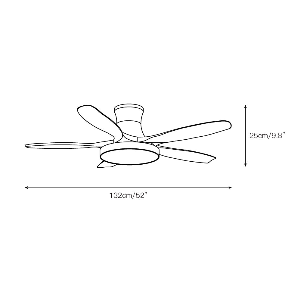 Alden Ceiling Fan Light
