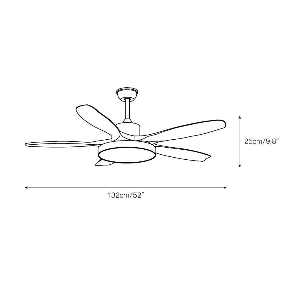 Alden Ceiling Fan Light