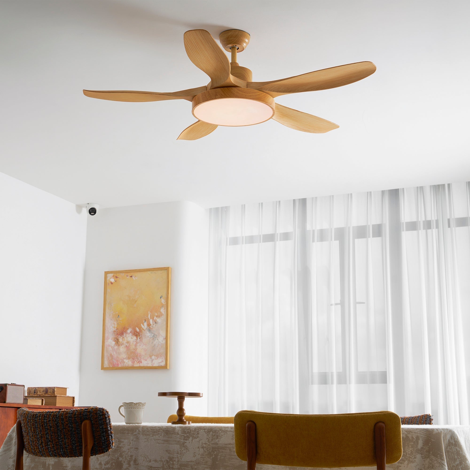 Alden Ceiling Fan Light