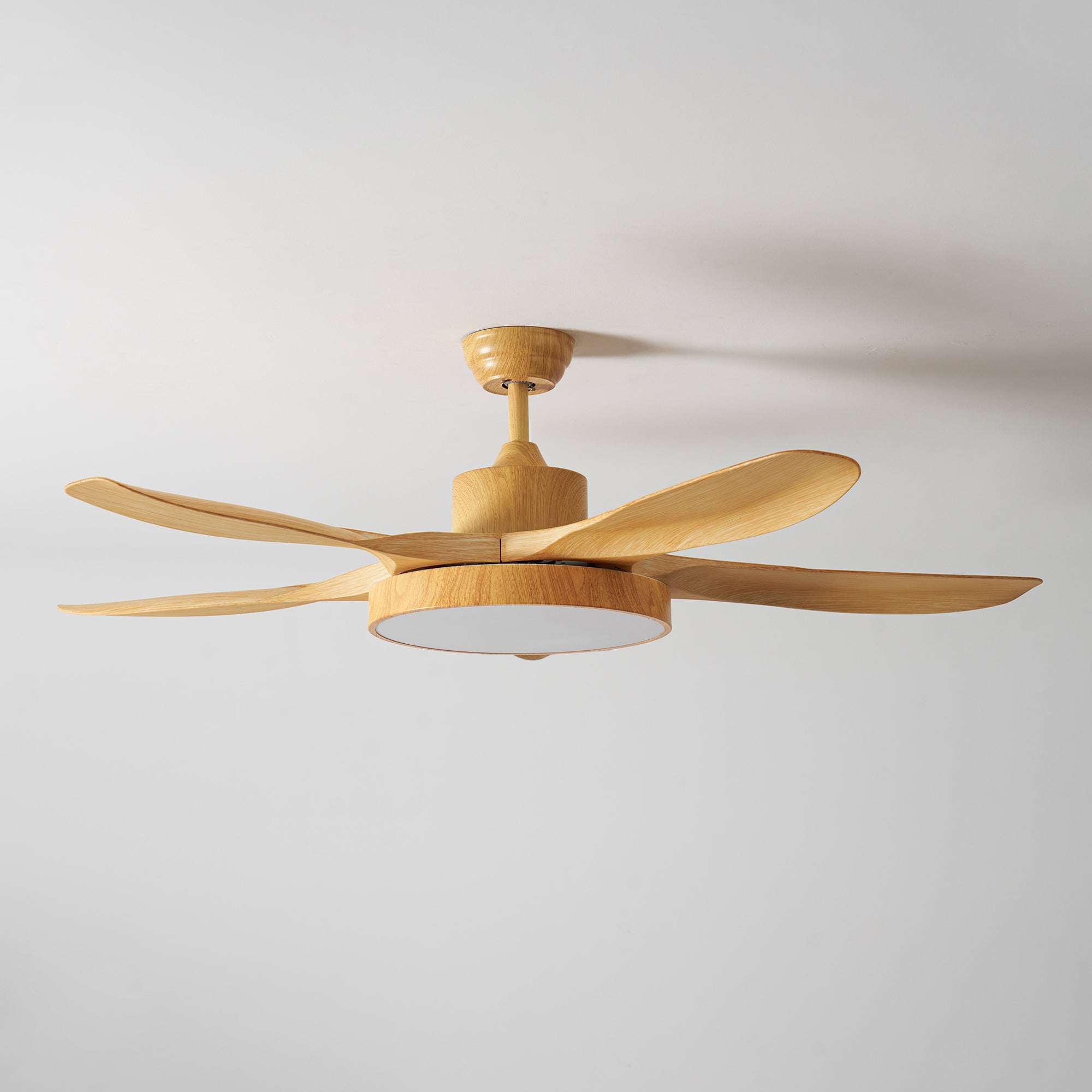Alden Ceiling Fan Light