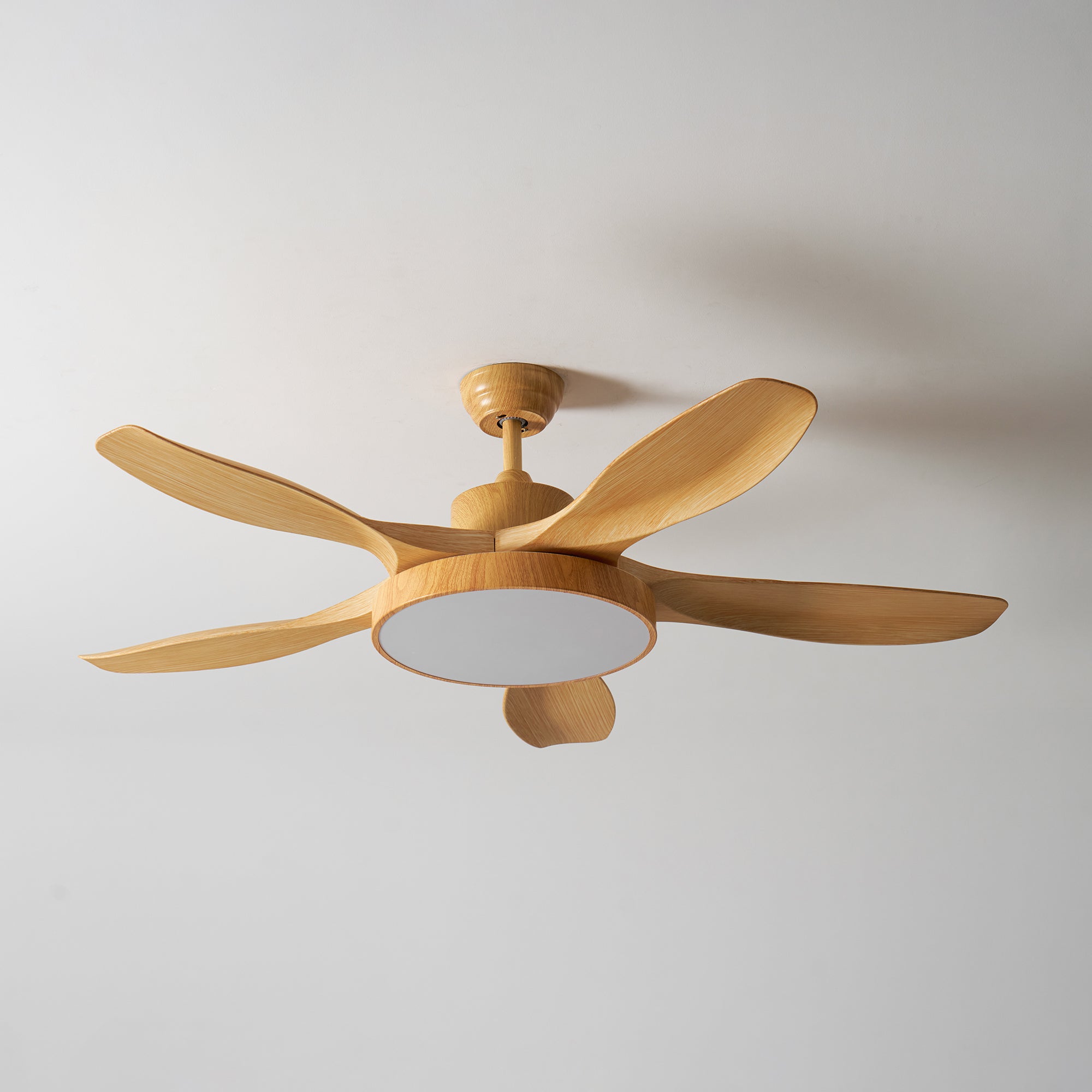 Alden Ceiling Fan Light