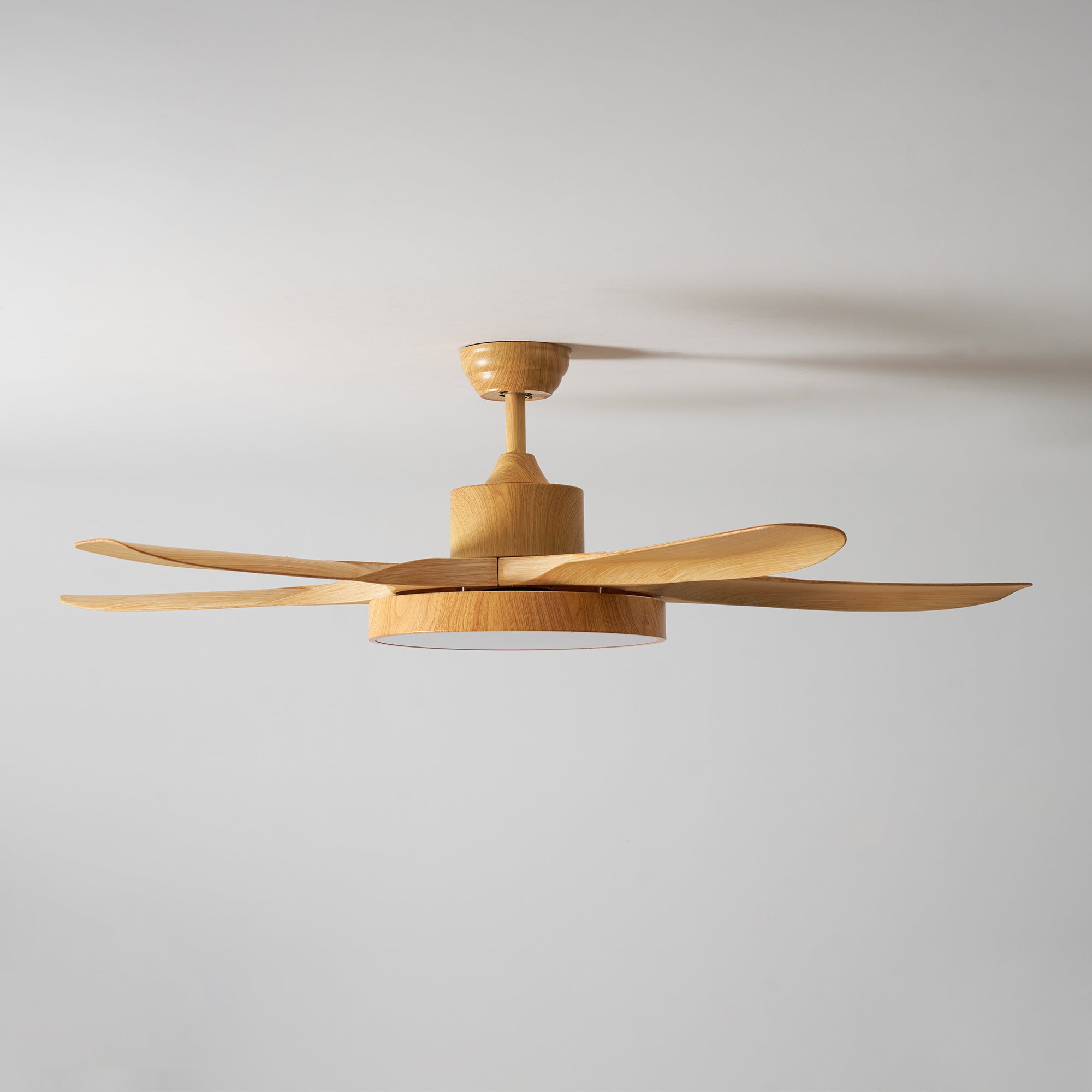 Alden Ceiling Fan Light