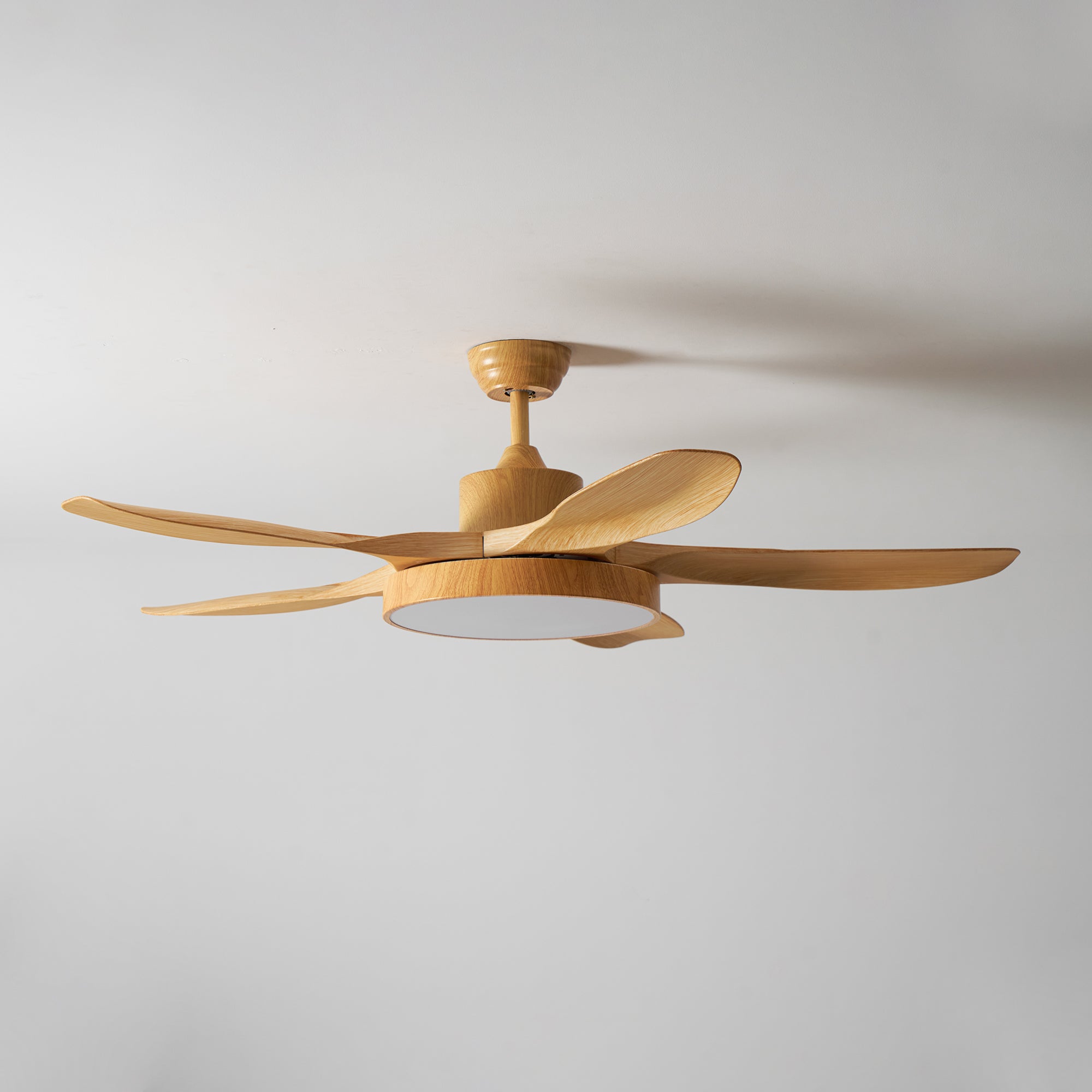 Alden Ceiling Fan Light