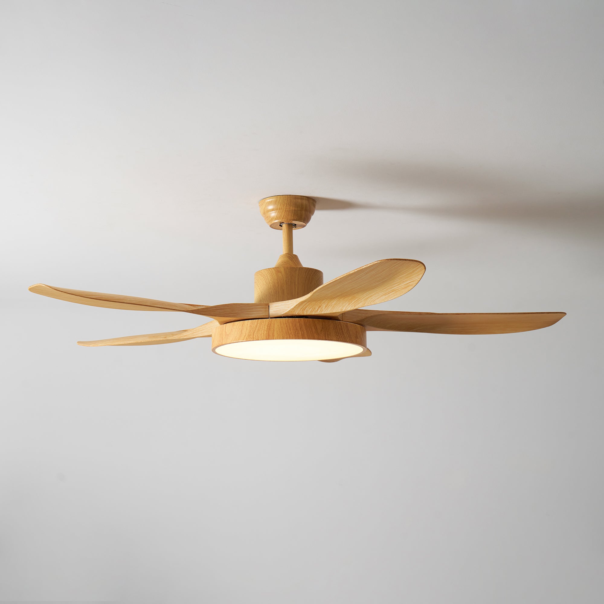 Alden Ceiling Fan Light