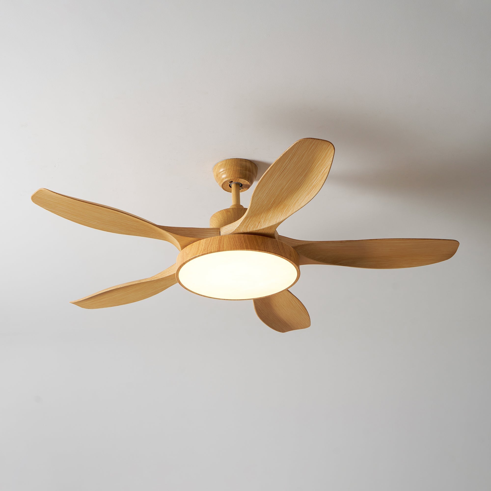 Alden Ceiling Fan Light