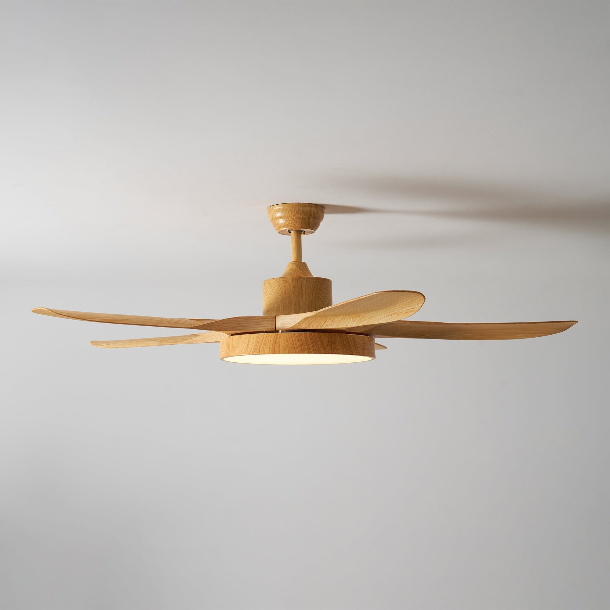 Alden Ceiling Fan Light