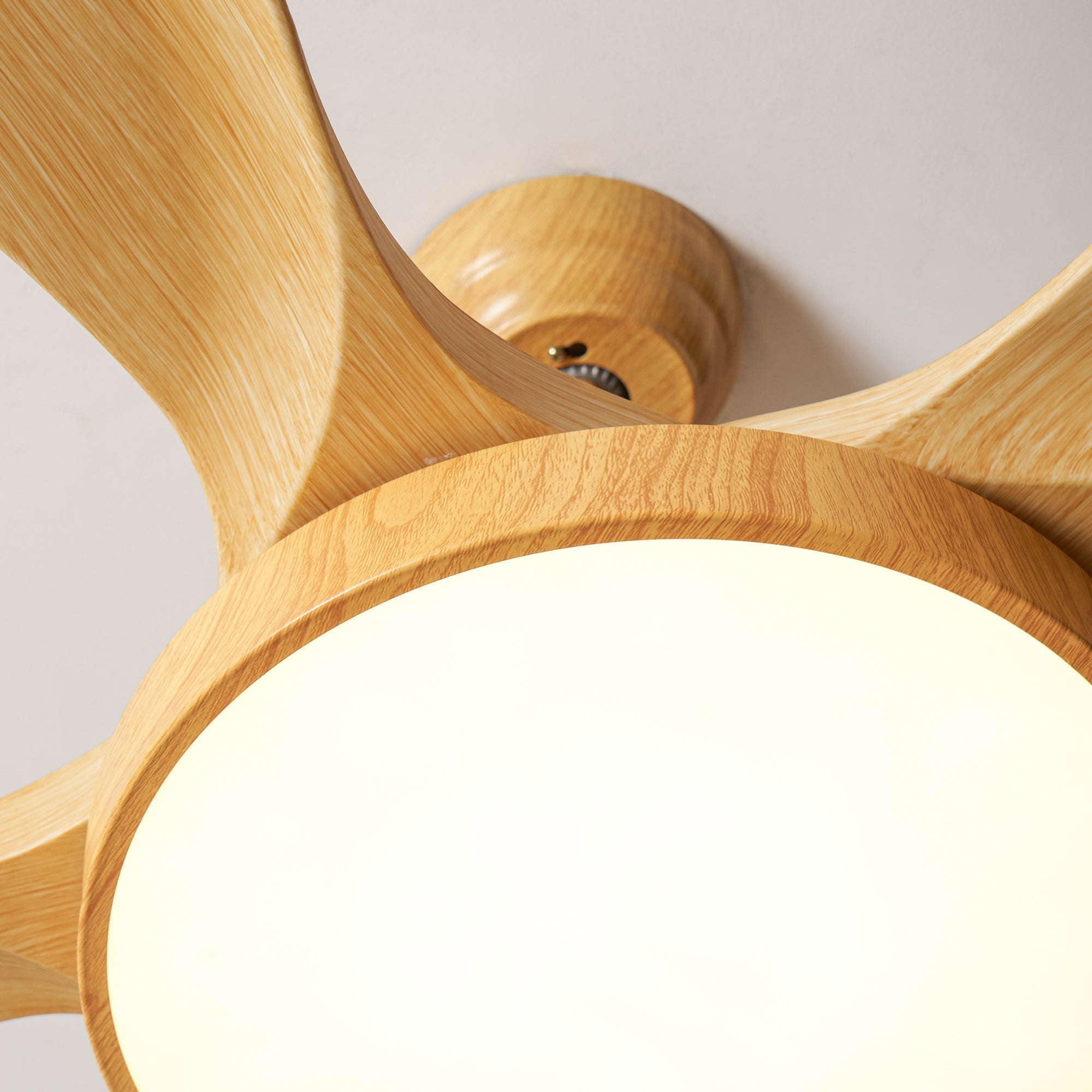 Alden Ceiling Fan Light