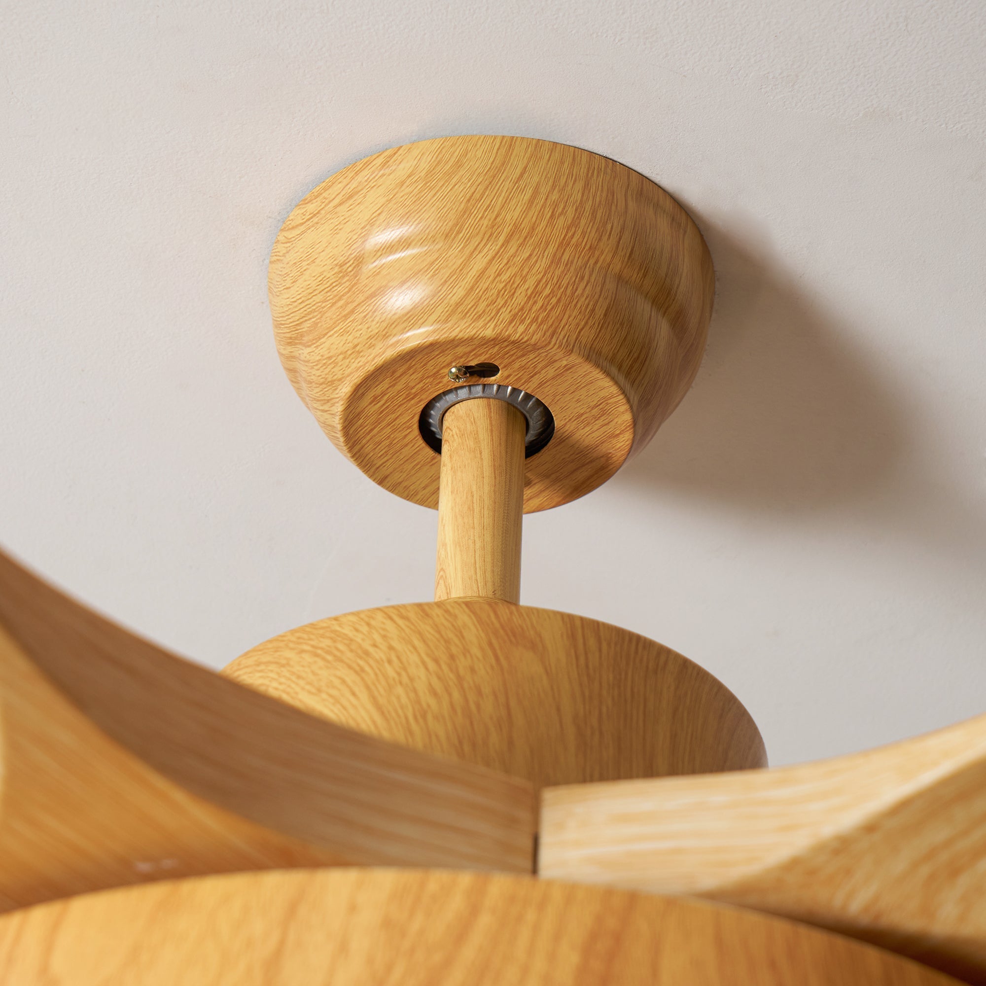 Alden Ceiling Fan Light