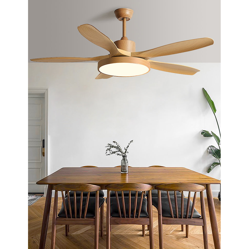 Alden Ceiling Fan Light